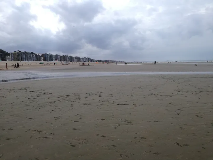 Kokzijde (België)